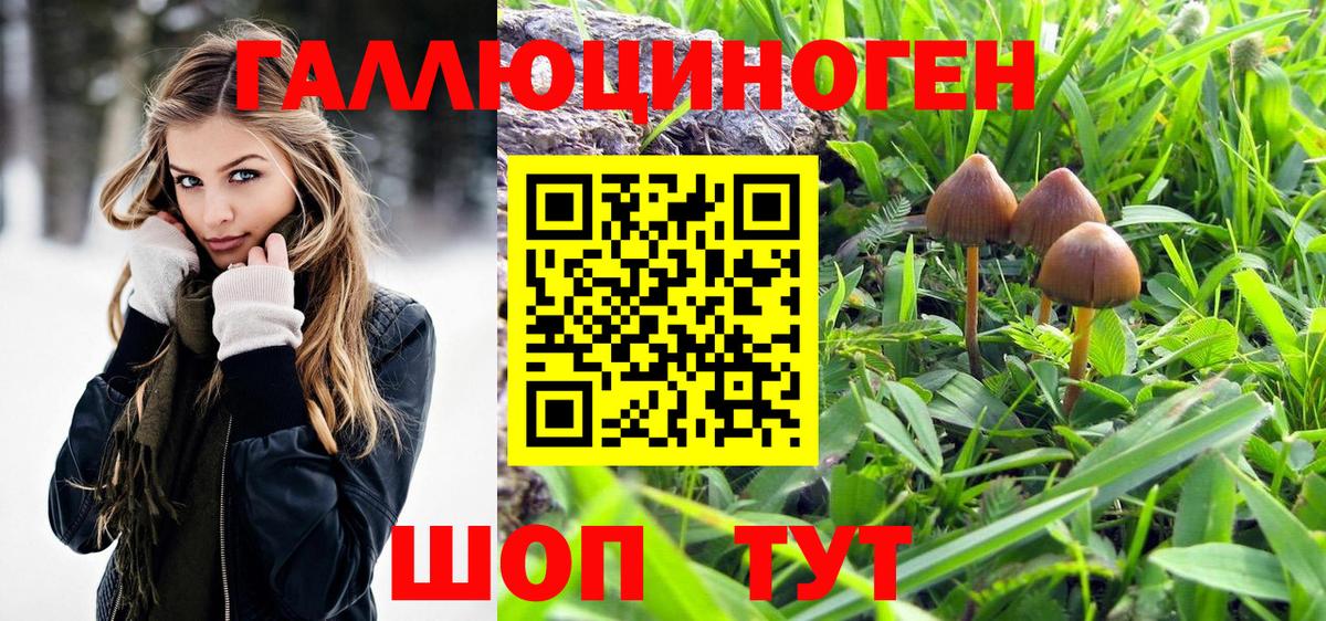 Псилоцибиновые грибы мухоморы Избербаш