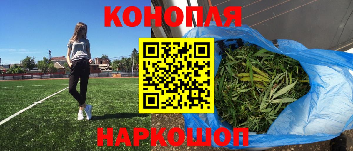 Бошки Шишки тримм  Вход с VPN  Избербаш  МАРИХУАНА конопля  Шишки марихуана планчик 